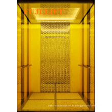 Titan Gold FUJI Passenger Elevator on Sale